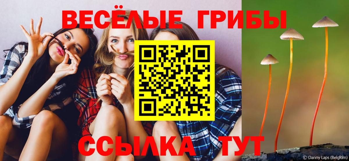 Псилоцибиновые грибы ЛСД Карасук