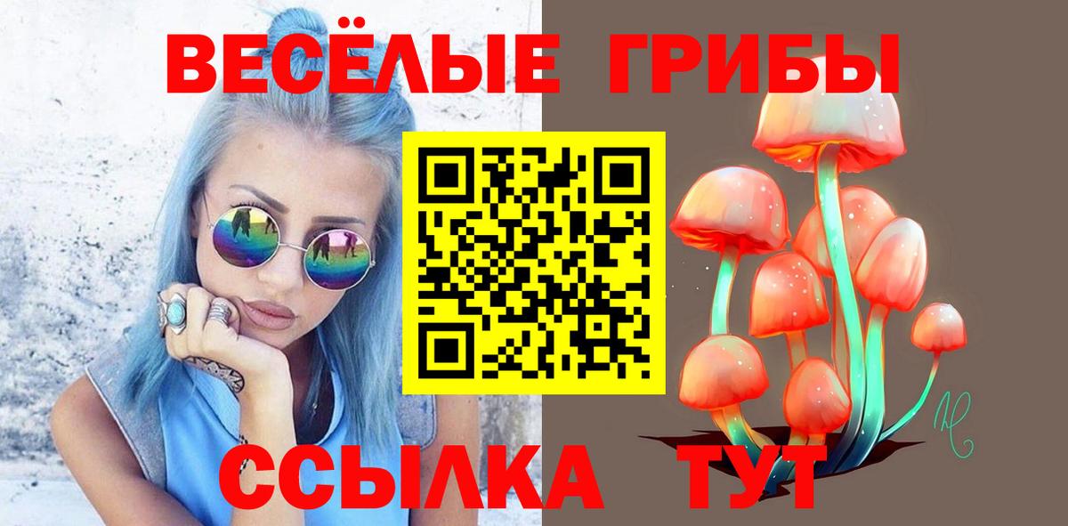 Галлюциногенные грибы мицелий  Вход с VPN  Карасук 