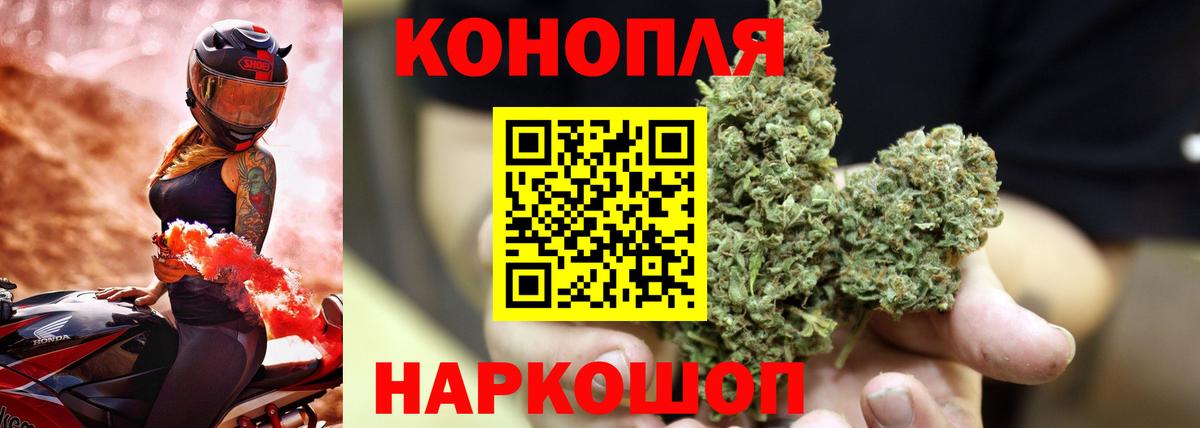 Бошки марихуана планчик Карасук